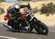 Harley-Davidson XL 1200R Sportster 1200 Roadster (XR 1200)